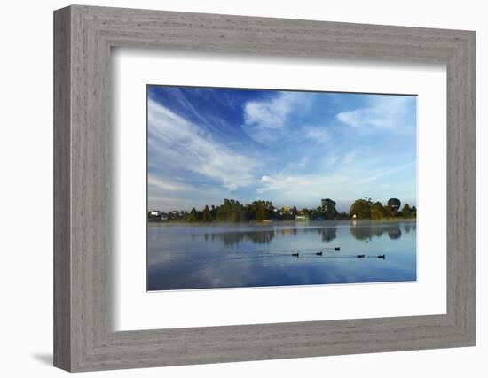 Ducks and Reflection on Lake Rotoroa, Hamilton, Waikato, North Island, New Zealand-David Wall-Framed Photographic Print