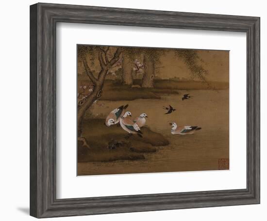 Ducks and Swallows. from an Album of Bird Paintings-Gao Qipei-Framed Giclee Print