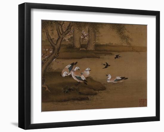 Ducks and Swallows. from an Album of Bird Paintings-Gao Qipei-Framed Giclee Print