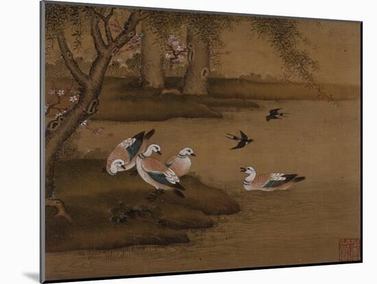 Ducks and Swallows. from an Album of Bird Paintings-Gao Qipei-Mounted Giclee Print