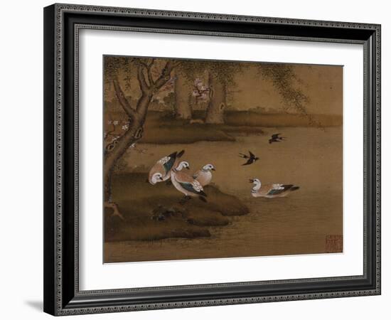 Ducks and Swallows. from an Album of Bird Paintings-Gao Qipei-Framed Giclee Print