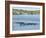 Ducks and Wildlife in Salt Marsh, Florida, USA-Lisa S Engelbrecht-Framed Photographic Print