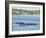 Ducks and Wildlife in Salt Marsh, Florida, USA-Lisa S Engelbrecht-Framed Photographic Print