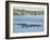 Ducks and Wildlife in Salt Marsh, Florida, USA-Lisa S Engelbrecht-Framed Photographic Print