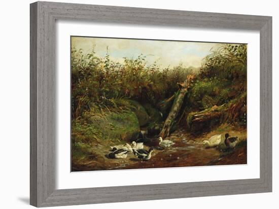 Ducks at a Brook, 1872-Arthur Fitzwilliam Tait-Framed Giclee Print