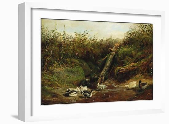 Ducks at a Brook, 1872-Arthur Fitzwilliam Tait-Framed Giclee Print