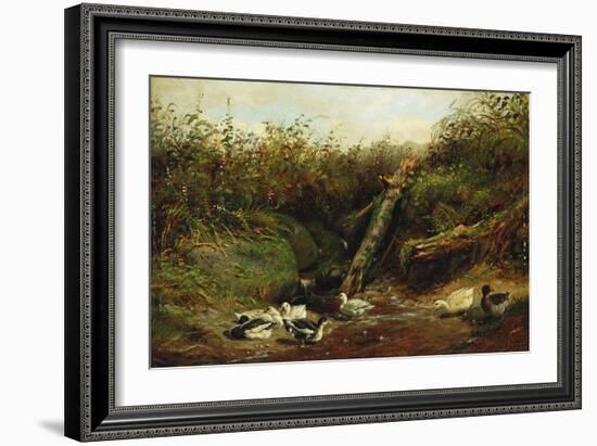 Ducks at a Brook, 1872-Arthur Fitzwilliam Tait-Framed Giclee Print