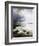 Ducks at the Lake's Edge-Alexander Koester-Framed Giclee Print