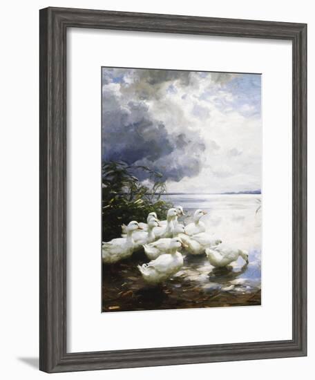 Ducks at the Lake's Edge-Alexander Koester-Framed Giclee Print