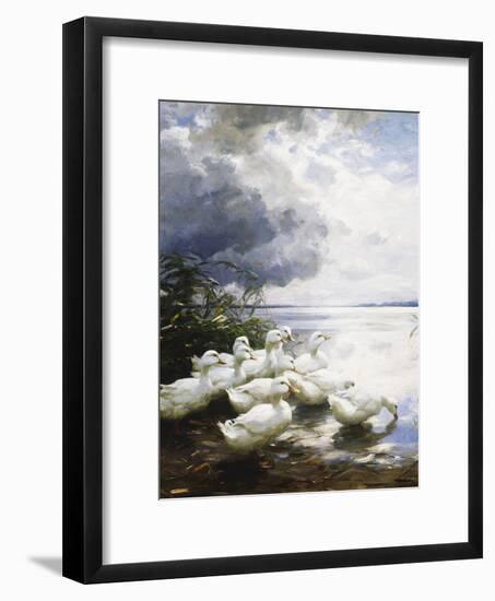 Ducks at the Lake's Edge-Alexander Koester-Framed Giclee Print