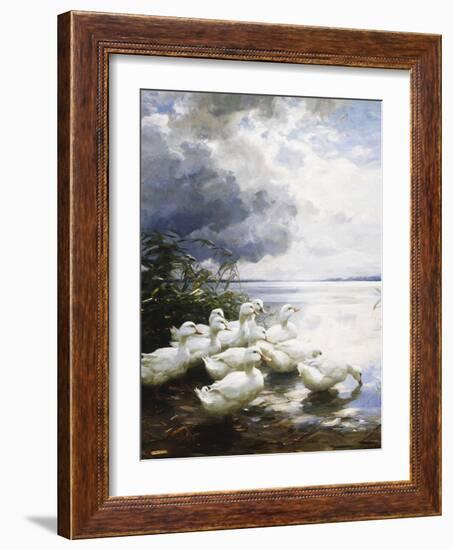 Ducks at the Lake's Edge-Alexander Koester-Framed Giclee Print