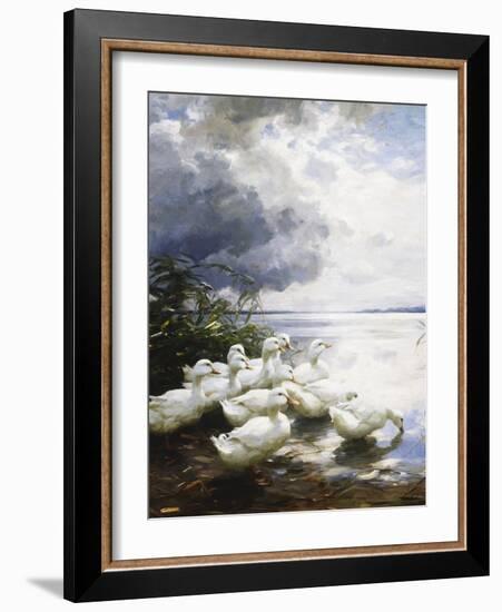 Ducks at the Lake's Edge-Alexander Koester-Framed Giclee Print