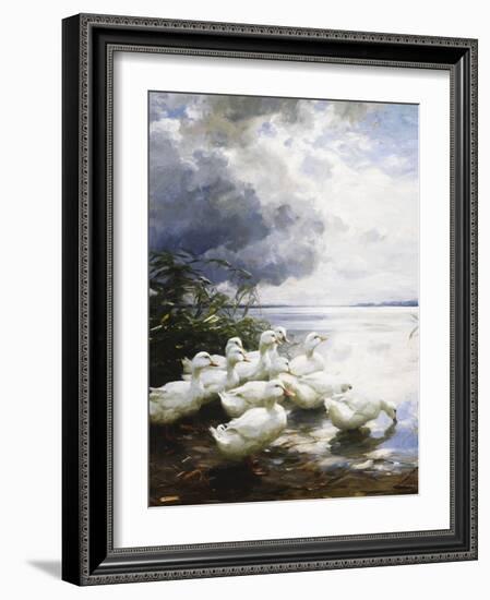 Ducks at the Lake's Edge-Alexander Koester-Framed Giclee Print