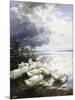 Ducks at the Lake's Edge-Alexander Koester-Mounted Giclee Print