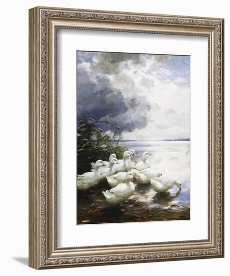 Ducks at the Lake's Edge-Alexander Koester-Framed Giclee Print