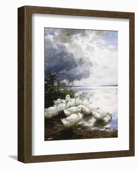 Ducks at the Lake's Edge-Alexander Koester-Framed Giclee Print