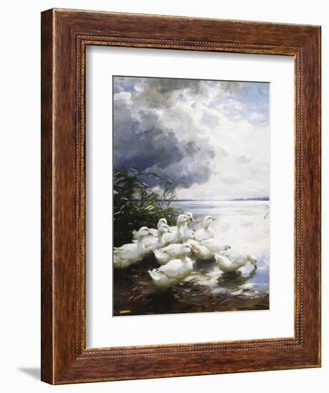 Ducks at the Lake's Edge-Alexander Koester-Framed Giclee Print