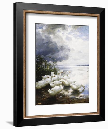 Ducks at the Lake's Edge-Alexander Koester-Framed Giclee Print