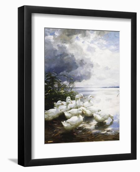 Ducks at the Lake's Edge-Alexander Koester-Framed Giclee Print