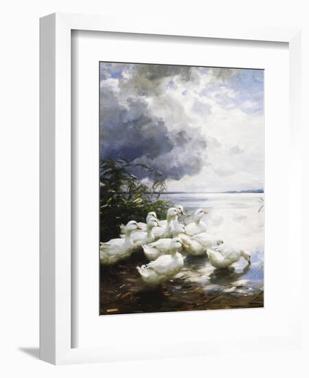 Ducks at the Lake's Edge-Alexander Koester-Framed Giclee Print