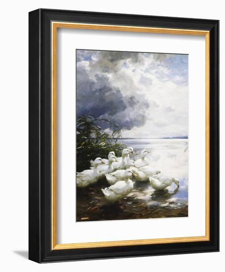 Ducks at the Lake's Edge-Alexander Koester-Framed Giclee Print