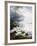 Ducks at the Lake's Edge-Alexander Koester-Framed Giclee Print