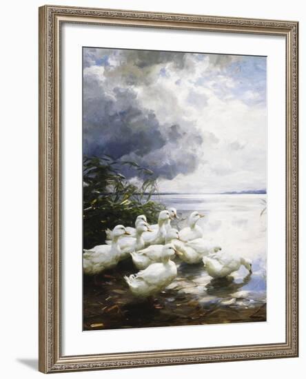 Ducks at the Lake's Edge-Alexander Koester-Framed Giclee Print