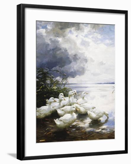 Ducks at the Lake's Edge-Alexander Koester-Framed Giclee Print