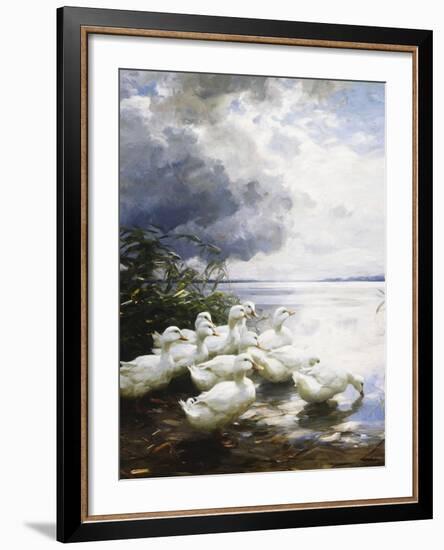 Ducks at the Lake's Edge-Alexander Koester-Framed Giclee Print