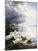 Ducks at the Lake's Edge-Alexander Koester-Mounted Giclee Print