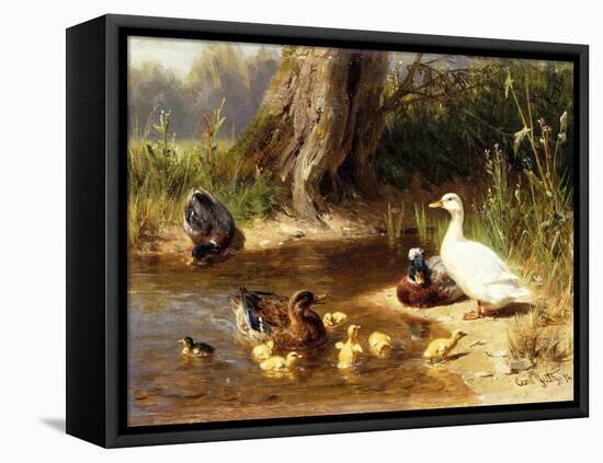 Ducks at the Water's Edge, 1874-Carl Jutz-Framed Premier Image Canvas