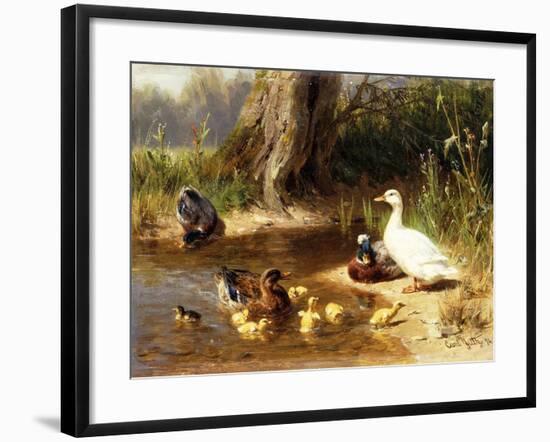 Ducks at the Water's Edge-Carl Jutz-Framed Giclee Print