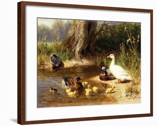 Ducks at the Water's Edge-Carl Jutz-Framed Giclee Print
