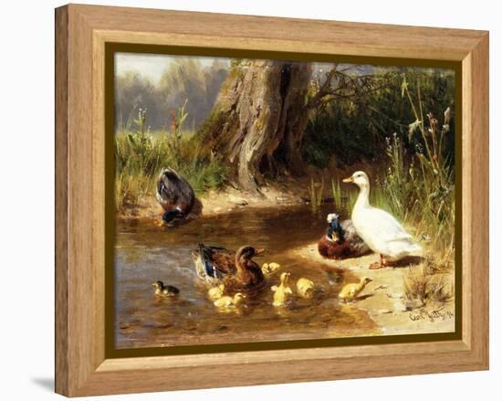 Ducks at the Water's Edge-Carl Jutz-Framed Premier Image Canvas