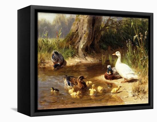 Ducks at the Water's Edge-Carl Jutz-Framed Premier Image Canvas