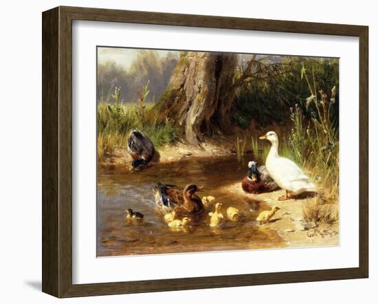 Ducks at the Water's Edge-Carl Jutz-Framed Giclee Print