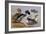 Ducks by a Lake-Archibald Thorburn-Framed Giclee Print