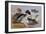 Ducks by a Lake-Archibald Thorburn-Framed Giclee Print