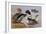 Ducks by a Lake-Archibald Thorburn-Framed Giclee Print