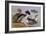 Ducks by a Lake-Archibald Thorburn-Framed Giclee Print