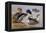 Ducks by a Lake-Archibald Thorburn-Framed Premier Image Canvas