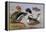 Ducks by a Lake-Archibald Thorburn-Framed Premier Image Canvas