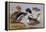 Ducks by a Lake-Archibald Thorburn-Framed Premier Image Canvas