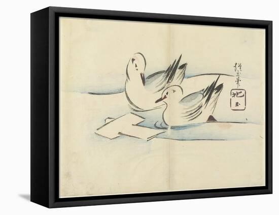 Ducks, C. 1830-Hogyoku-Framed Premier Image Canvas
