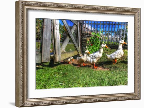 Ducks Escapiing-Robert Goldwitz-Framed Photographic Print