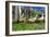 Ducks Escapiing-Robert Goldwitz-Framed Photographic Print