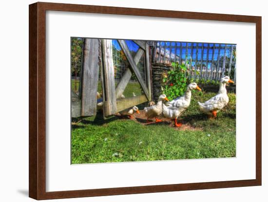 Ducks Escapiing-Robert Goldwitz-Framed Photographic Print