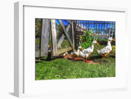 Ducks Escapiing-Robert Goldwitz-Framed Photographic Print