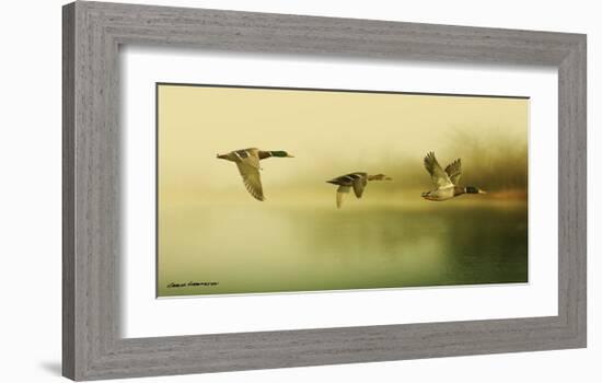 Ducks Flying-Carlos Casamayor-Framed Art Print