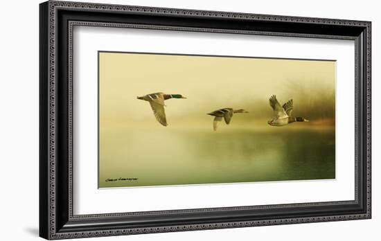 Ducks Flying-Carlos Casamayor-Framed Art Print